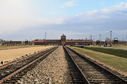 Auschwitz Birkenau thumbnail
